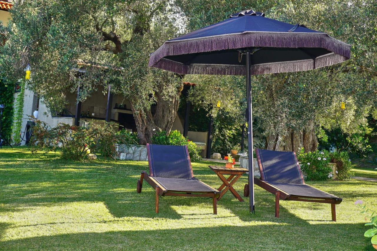 Villa The Cosy Olive Ormos Panagias Zewnętrze zdjęcie